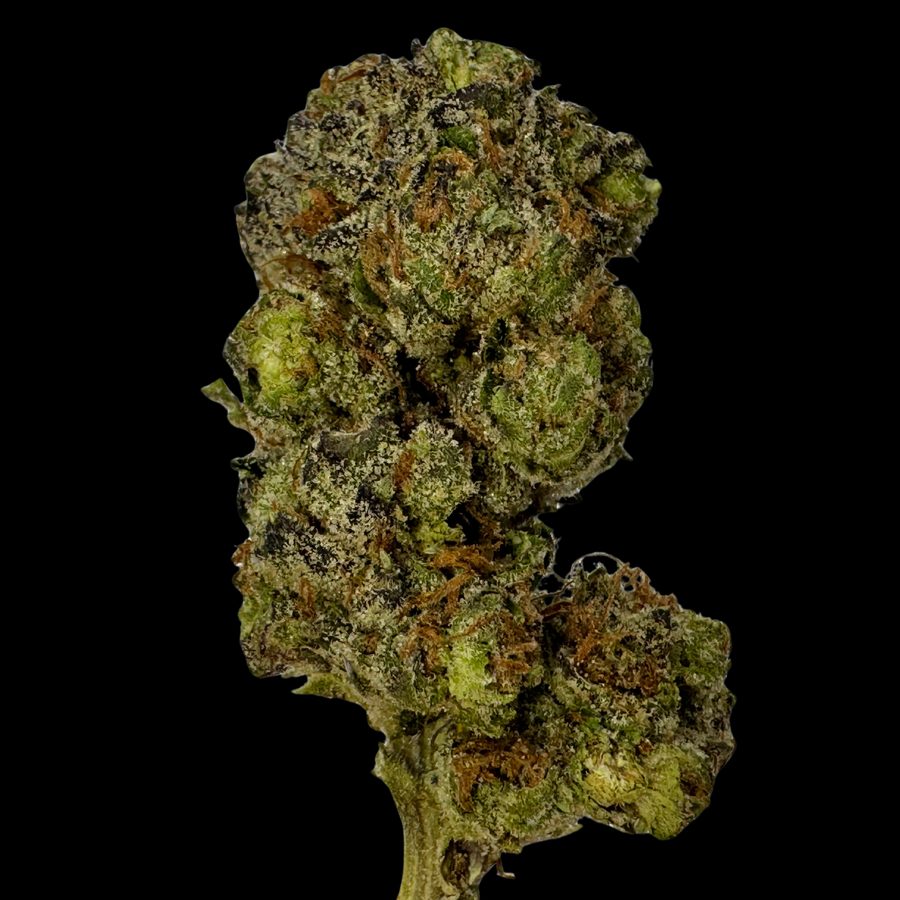 Gush Mintz - High THCA Hemp Flower – Tier 3 Commercial Bigs